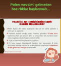 Polen mevsimi