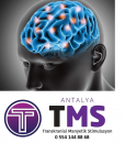 Transkranyal manyatik stimulasyon (tms) veya beyin uyarım (tmu) tedavisi nedir?