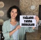 Yağlar ve dumanlanma (yanma) noktaları