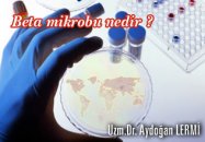Beta mikrobu nedir ?