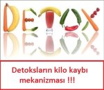 Detoksların kilo kaybı mekanizması