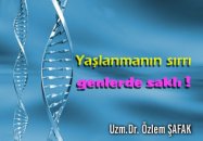 Gentest yaşlanmanın sırrı genlerde saklı !