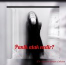 Panik atak nedir?