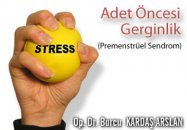 Adet öncesi gerginlik -pms (premenstrüel sendrom)!