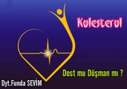 Kolesterol:dost mu düşman mı ?