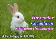 Hayvanlar çocukların gelişimini hızlandırıyor...