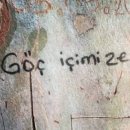 Eve dönüş: terapi süreci