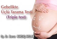 Gebelikte üçlü tarama testi - triple test