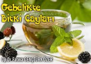 Gebelikte bitki çayları