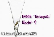Evlilik terapisi nedir ? kimler evlilik terapisi almalıdır ?