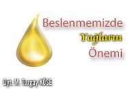 Beslenmemizde yağların önemi