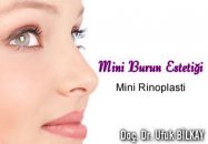 Mini burun estetiği ( mini rinoplasti )
