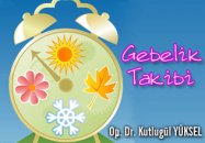 Gebelik takibi