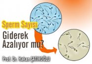 Sperm sayısı giderek azalıyor mu?