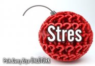 Stres ve stres kaynakları