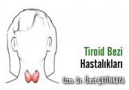 Tiroid bezi nerede bulunur ve görevleri nelerdir?