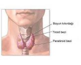 Guatr -  tiroid bezi hastalığı