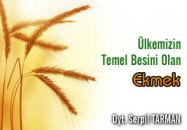 Ülkemizin temel besini olan ekmek