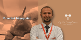 Prostat biyopsisi