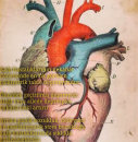 Kalp hastalıkları ve psikoloji