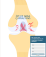 Op. Dr. Semih Ak