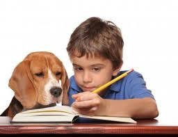 Çocuk ve ödev: ödev sorumluluğunu geliştirirken 9 öneri