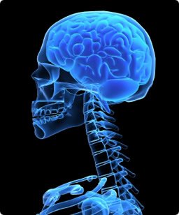 Beyin tümörlerinde risk faktörleri, şikayetler, tanı ve tedavi