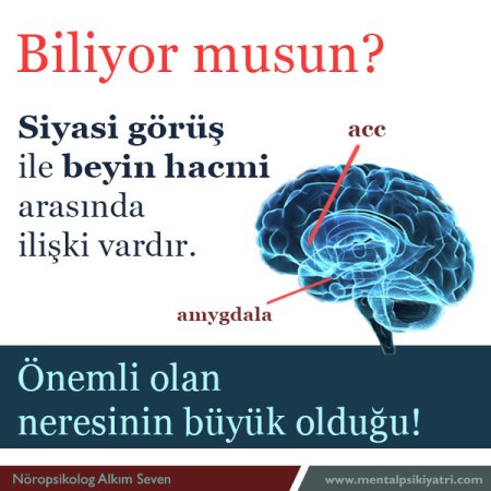 Politik görüşünüz beyninizin hacmine yansır