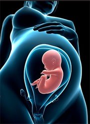 Ektopik (dış) gebelik... belirtileri, tanı ve tedavisi