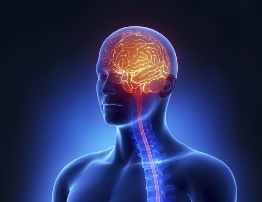 Beyin kanamaları nedenleri, belirtileri ve tedavisi
