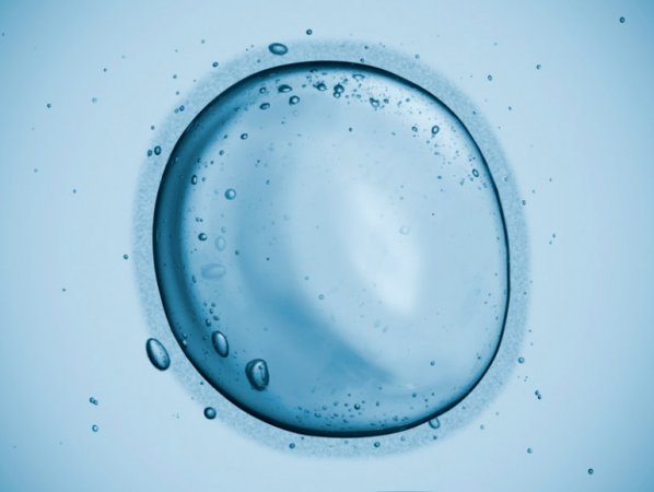 In vitro matürasyon (ıvm), ilaçsız tüp bebek tedavisi