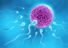 Başarısız tüp bebek denemelerinde sperm tedavisi