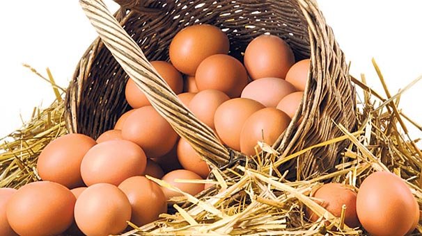 Yumurta neden bu kadar değerli bir besin?