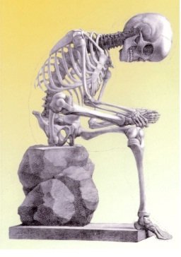 Topuk (kalkaeus) kırığı belirtileri, tedavisi başarısı ve sonuçları