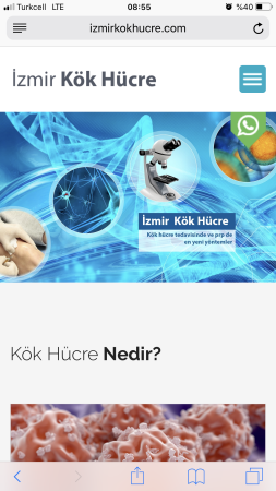 Prp nedir? hangi hastalıklarda uygulanır?