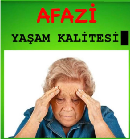 Afazili bireylerde yaşam kalı̇tesı̇