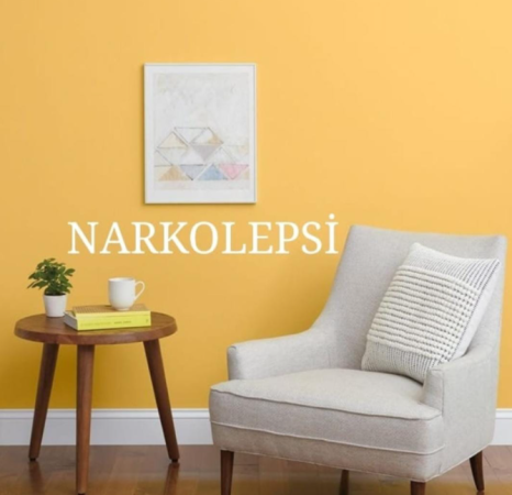 Narkolepsi