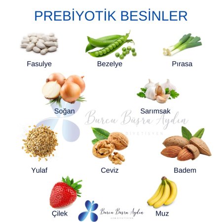 Prebiyotik besinler