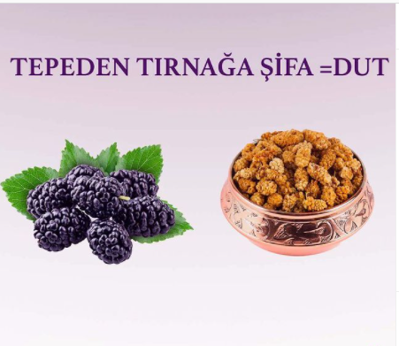 Tepeden tırnağa şifa = dut