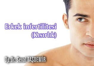 Erkek infertilitesi (kısırlık)