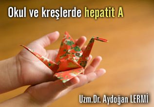 Okul ve kreşlerde hepatit a