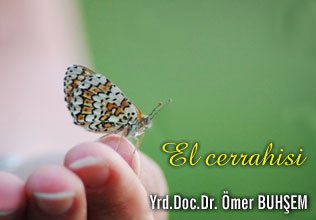 El cerrahisi ve plastik cerrahi