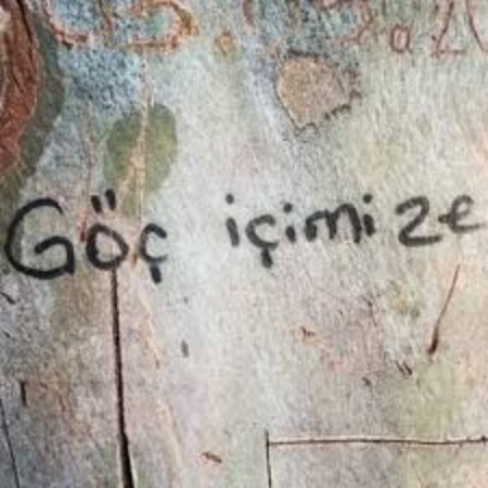 Eve dönüş: terapi süreci
