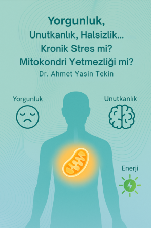 Yorgunluk, unutkanlık, halsizlik… kronik stres mi? mitokondri yetmezliği mi?
