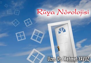 Rüya nörolojisi