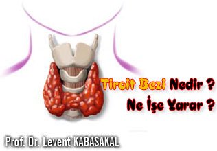Tiroit bezi nedir ve ne işe yarar ?