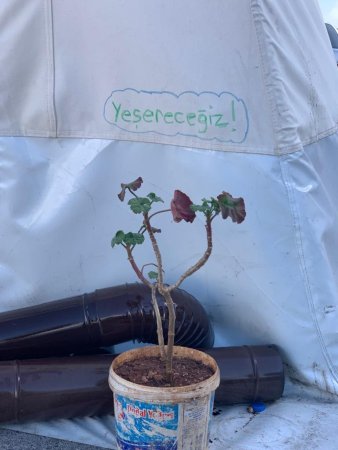 Afetten sonra hangi kitle psikolojisi ile hareket ediyoruz?