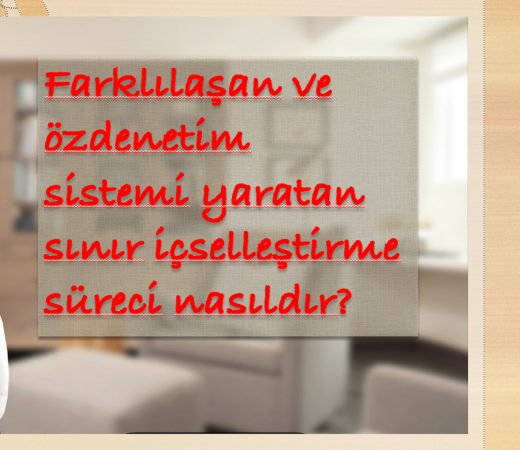 ​​sınır koyma: dış veya fiziksel dünyada sınırlar , sınır psikolojisi