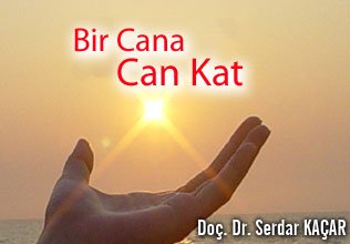 Bir cana can kat