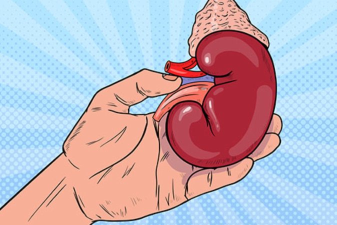 Kronik böbrek yetmezliği nedir